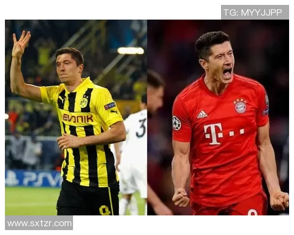 足球明星言语的多样性及其对球迷和媒体的影响分析